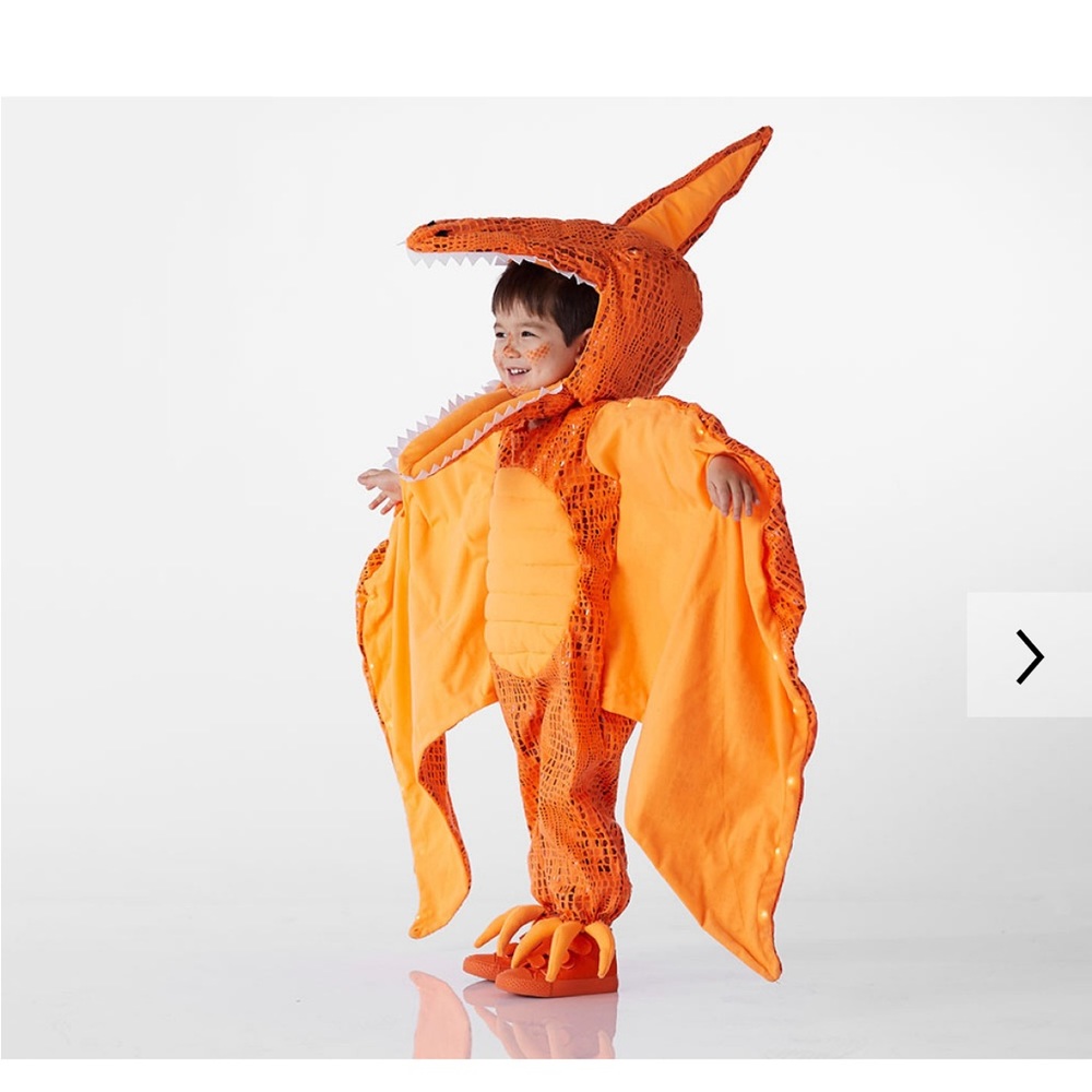 Toddler Light-Up Pterodactyl Halloween Costume